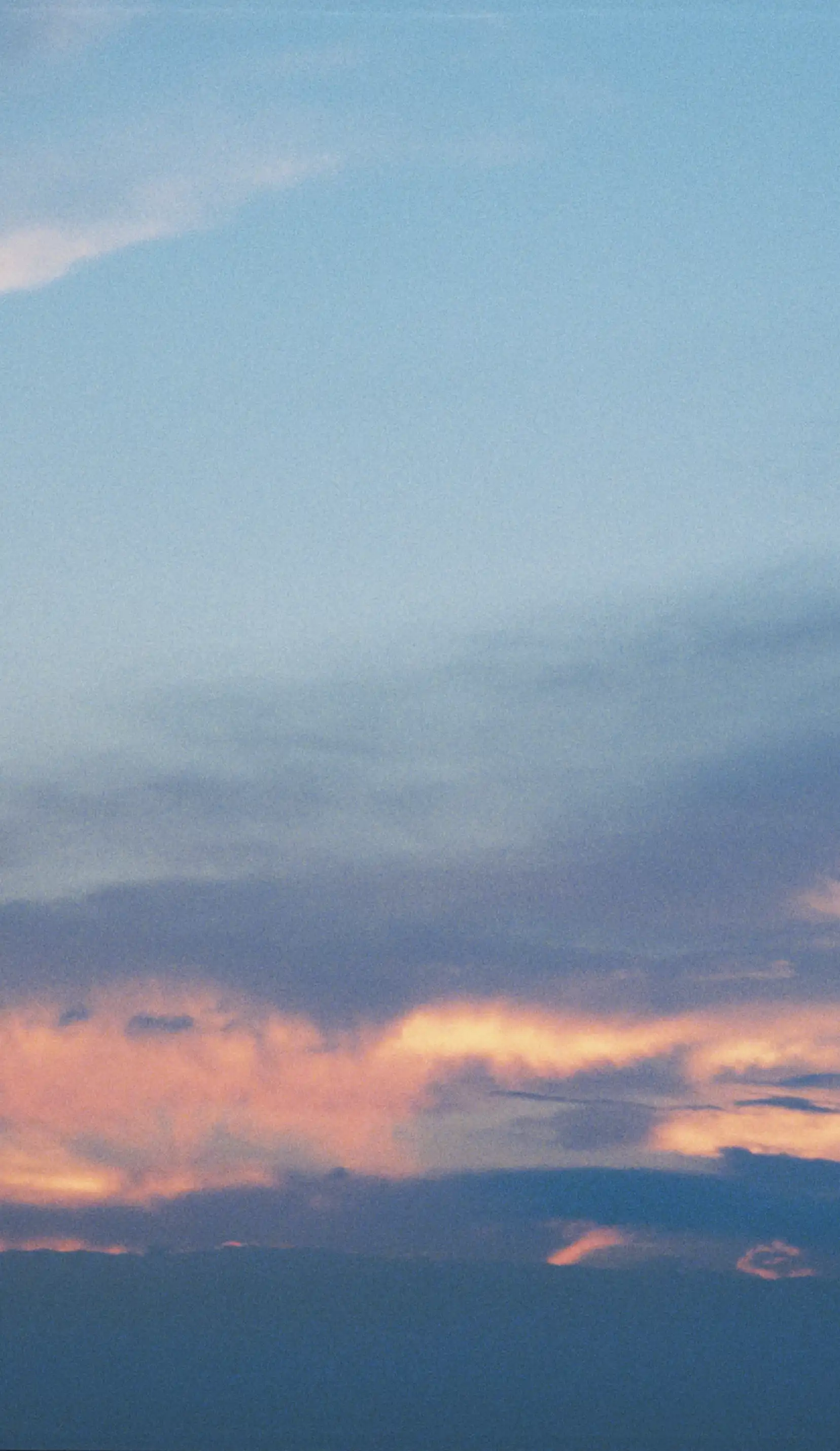 Make your face bloom with beauty.